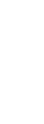 Violín